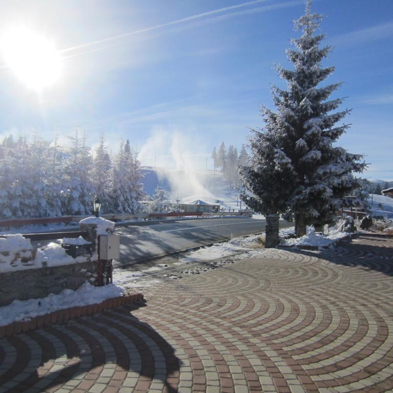 Complex Turistic Casianna & Spa Păltiniş Exteriér fotografie